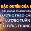 Cập Nhật Liên Tục